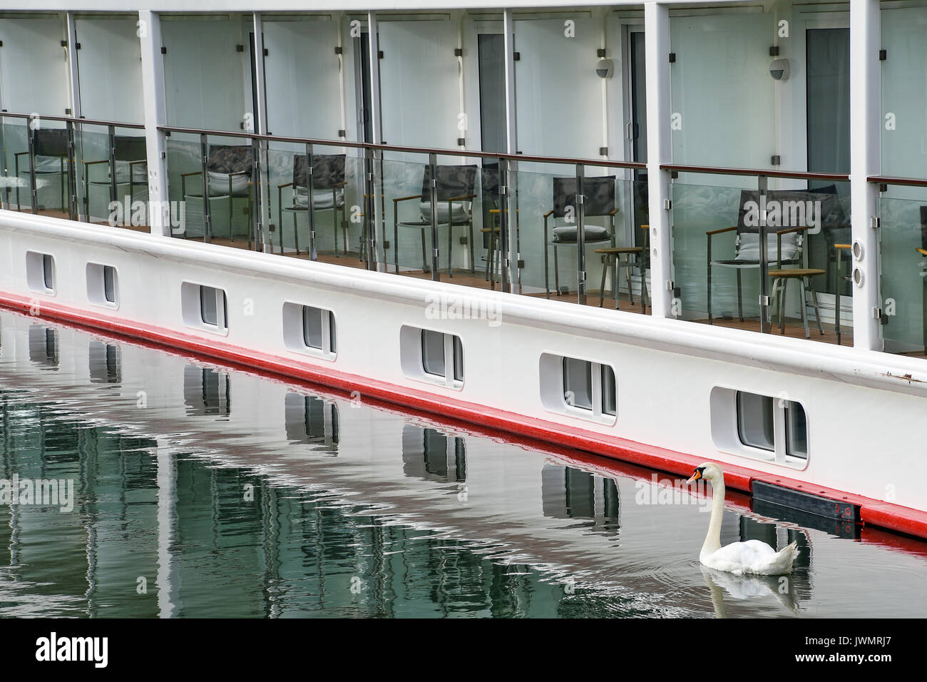 Weißer Schwan schwimmen durch den Fluss Kreuzfahrt Boot mit Wasser Reflexion Stockfoto