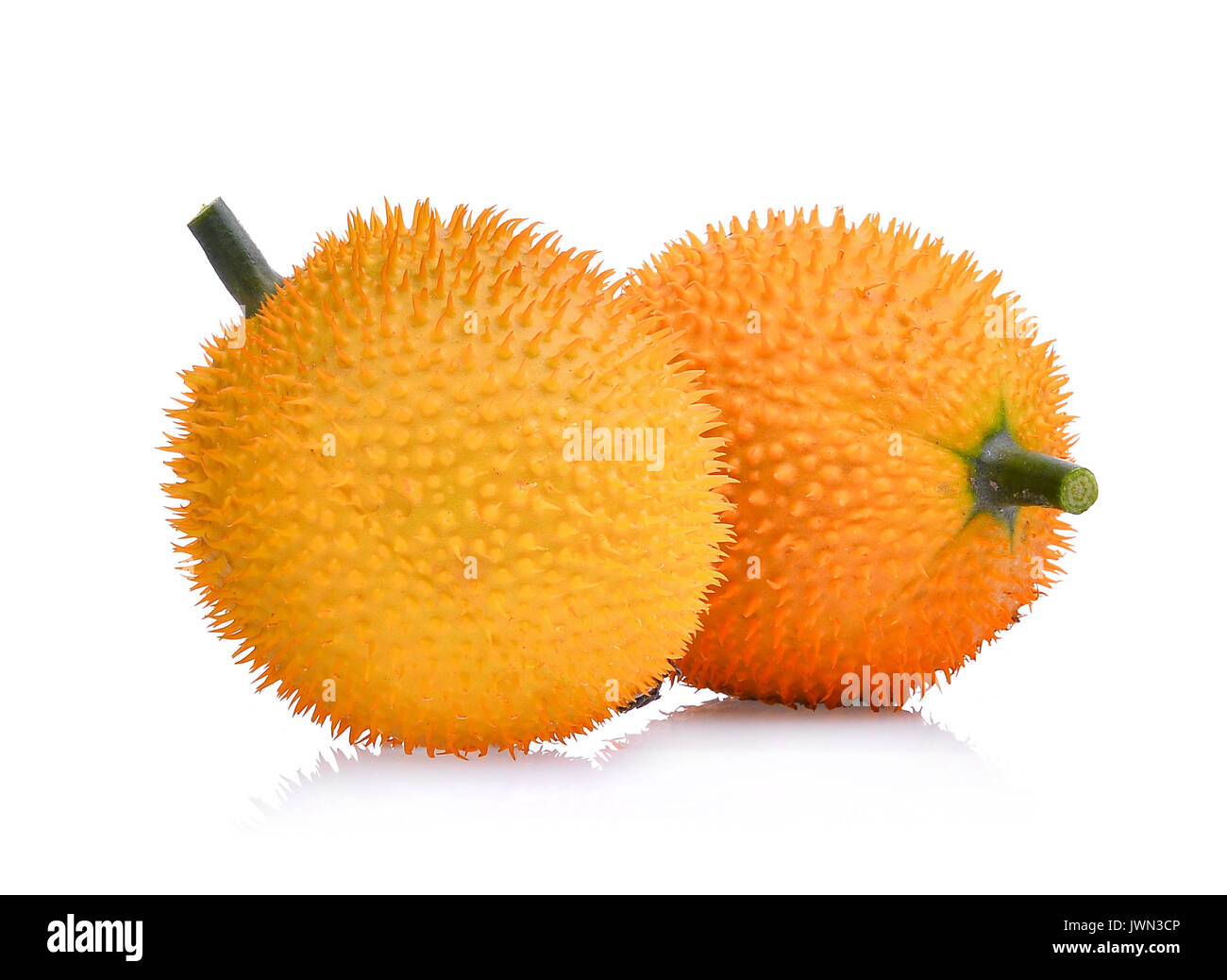 Rote melone baby jackfruit -Fotos und -Bildmaterial in hoher Auflösung ...