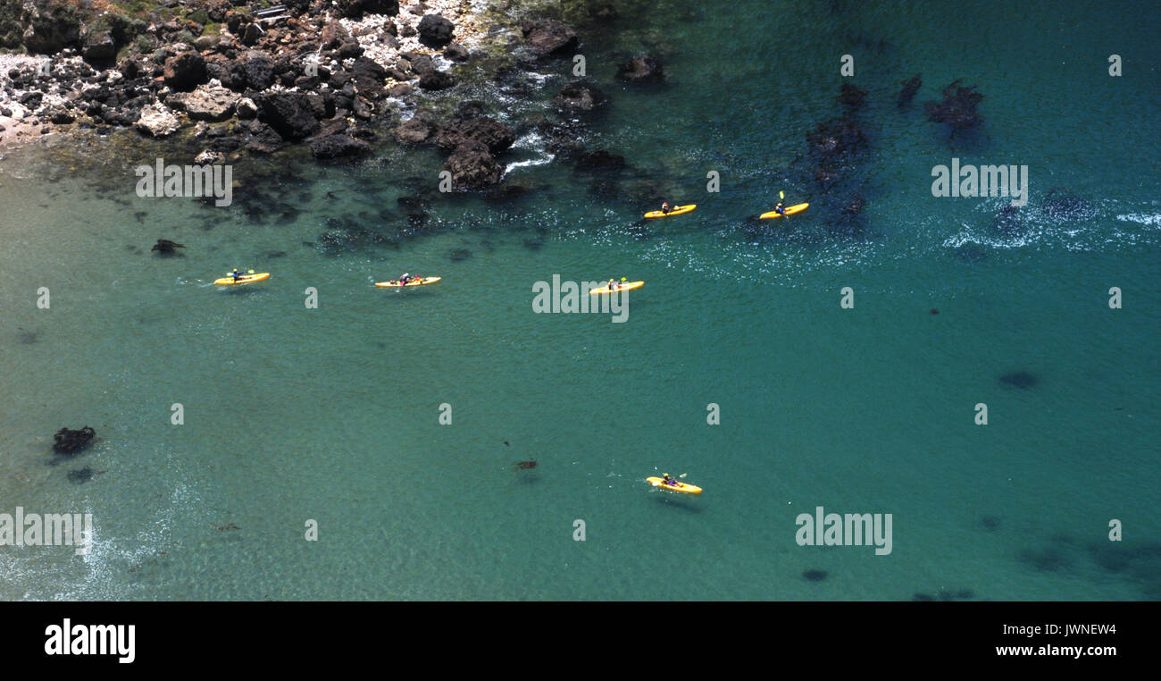 Gelbe Kajaks für Channel Islands National Park, Kalifornien, USA Stockfoto