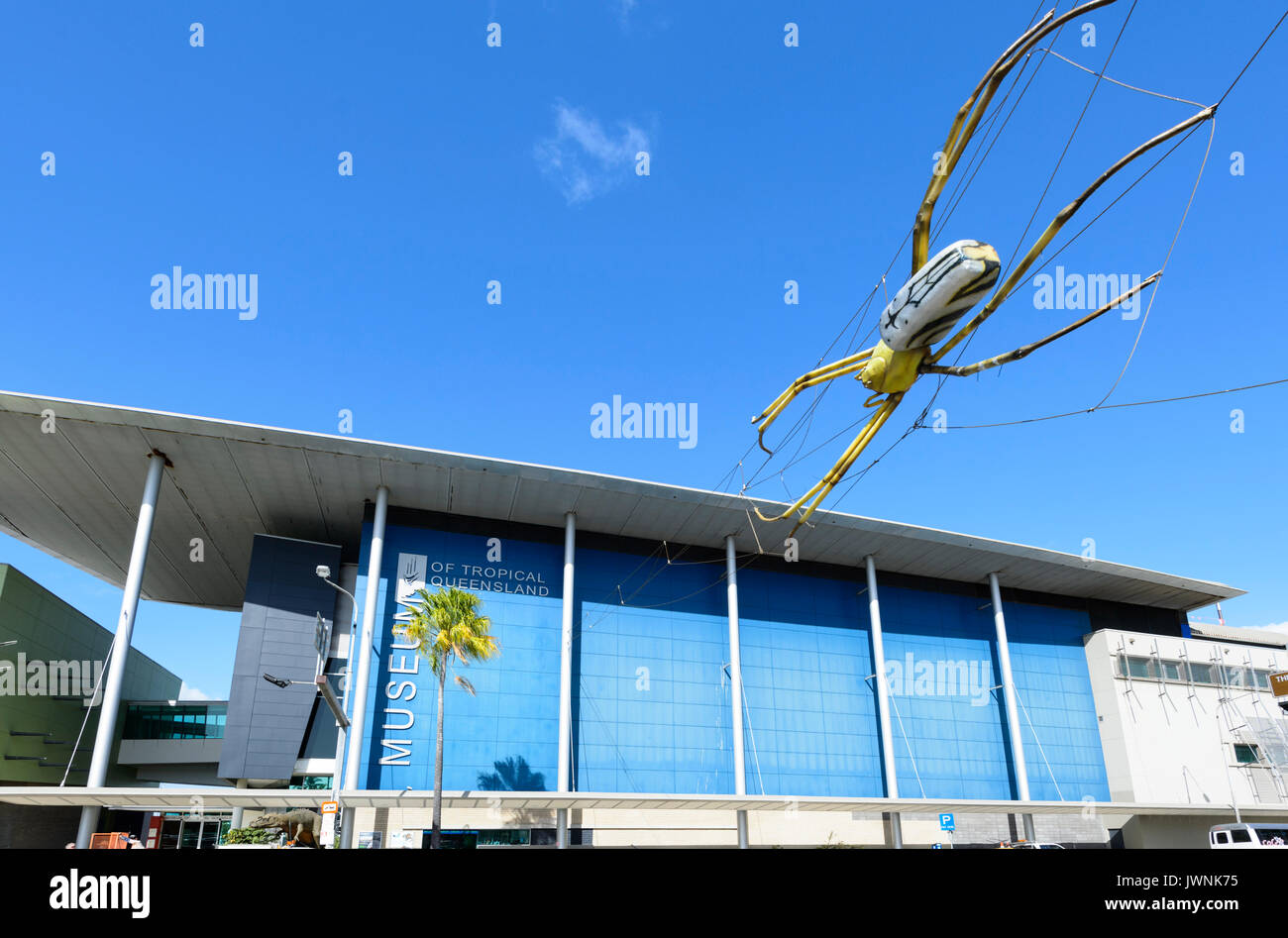 Museum des tropischen Queensland mit einer Spinne hängen draußen, Townsville, Queensland, Queensland, Australien Stockfoto