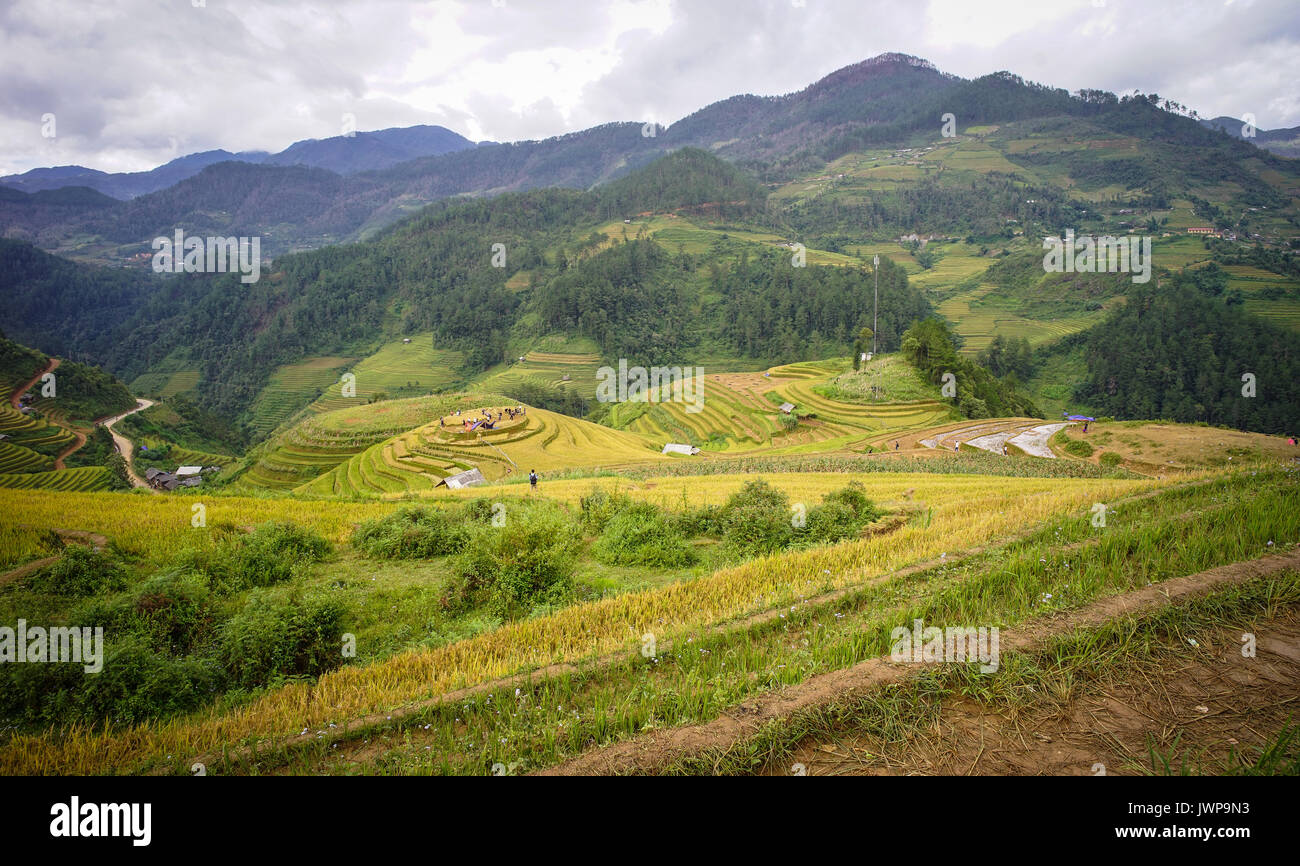 Terraced Rice Fields in Yen Bai, Vietnam. Den Reis terrasse Felder ist eine der beliebtesten Touristenattraktionen in Vietnam. Stockfoto