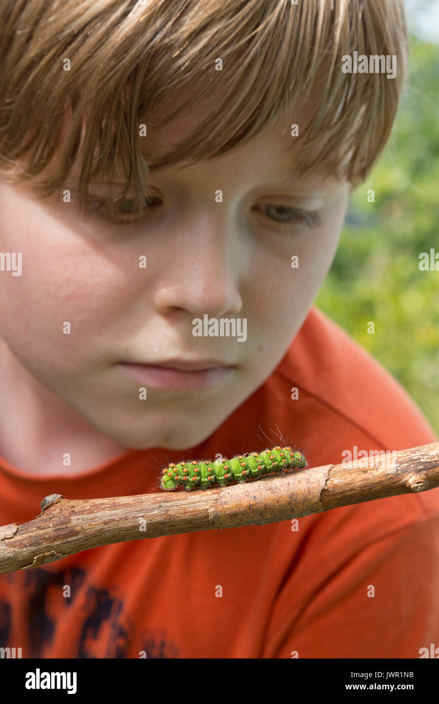 Junge suchen bei Caterpillar Stockfoto