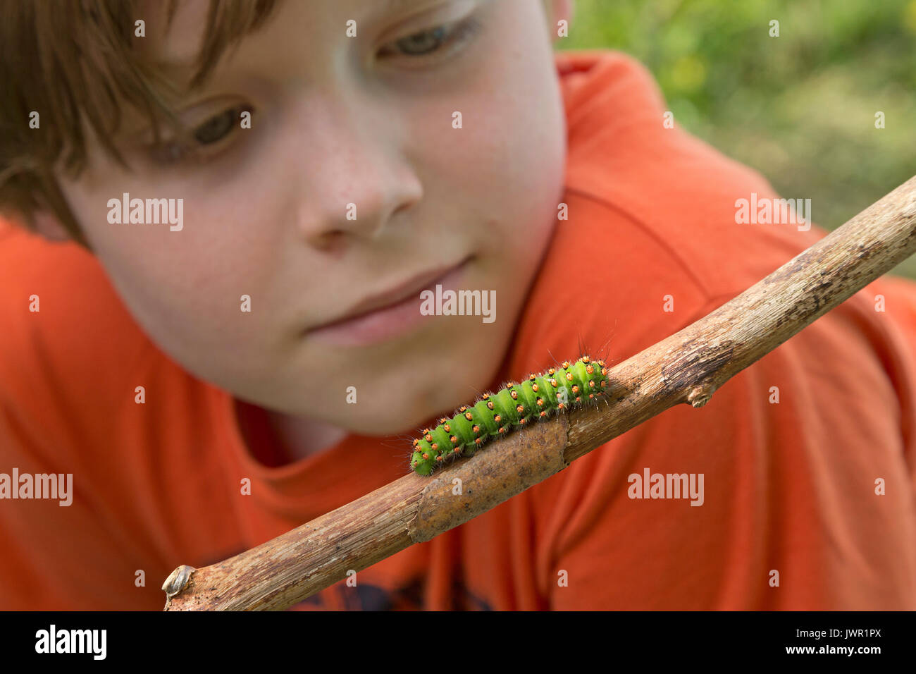 Junge suchen bei Caterpillar Stockfoto