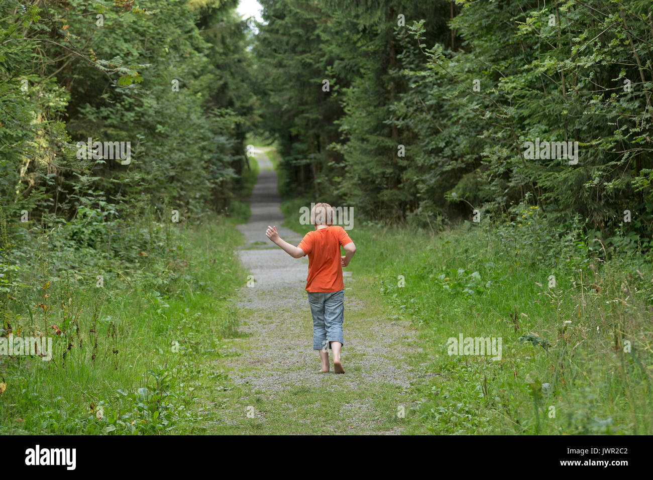 Junge entlang eine Waldweg Stockfoto