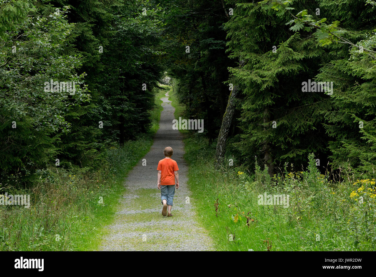 Junge entlang eine Waldweg Stockfoto
