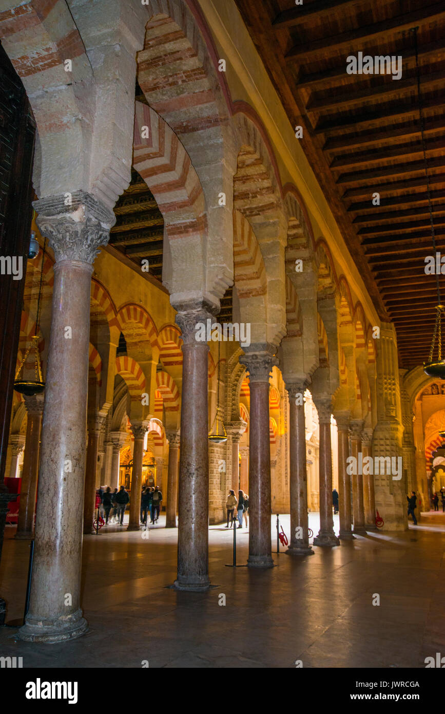 Moschee Kathedrale, Hallenbad. Cordoba, Spanien. Stockfoto