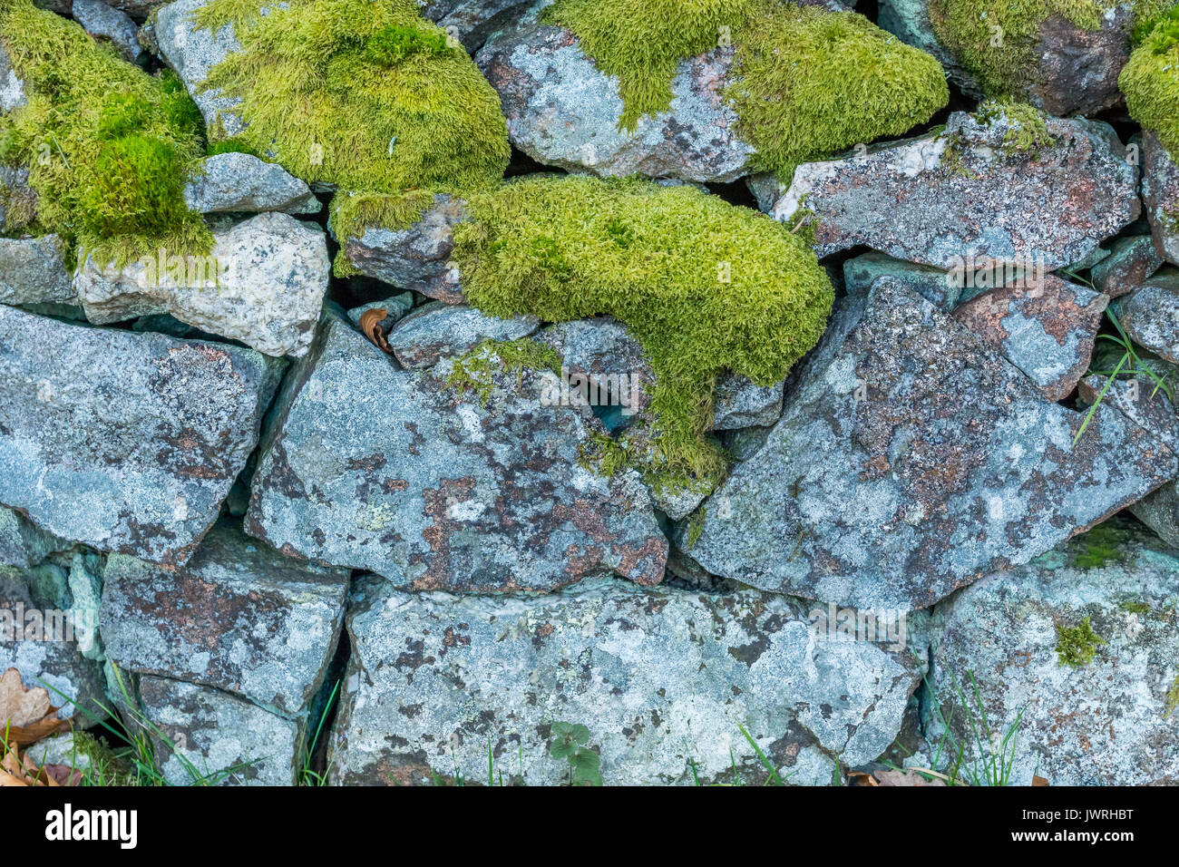 Moss deckt den Anfang einer Steinmauer. Stockfoto