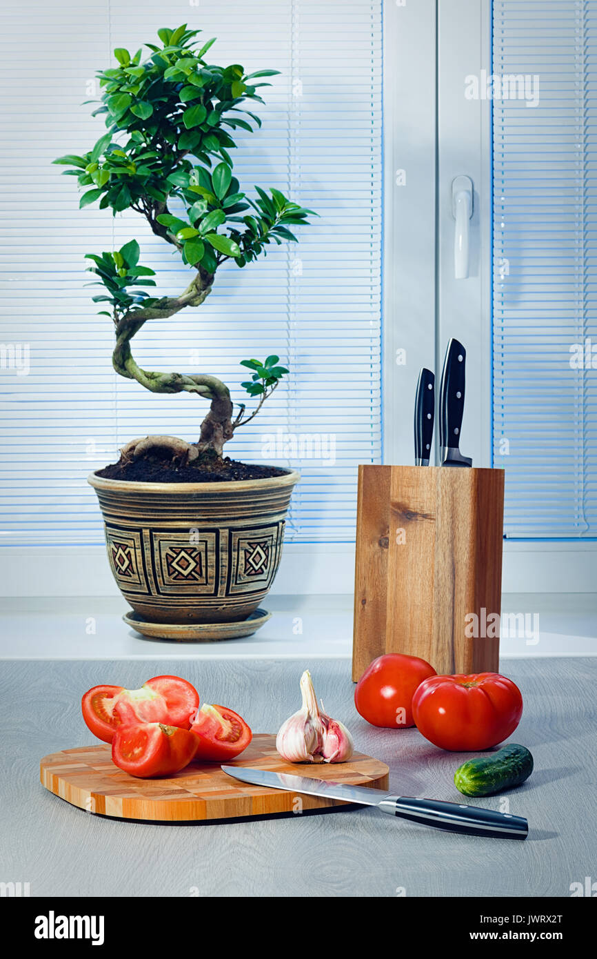 Ein Bonsai Ficus in der Nähe eines Fensters über Jalousien, Tomaten, Knoblauch, eine Gurke, Messer und ein Schneidebrett Stockfoto
