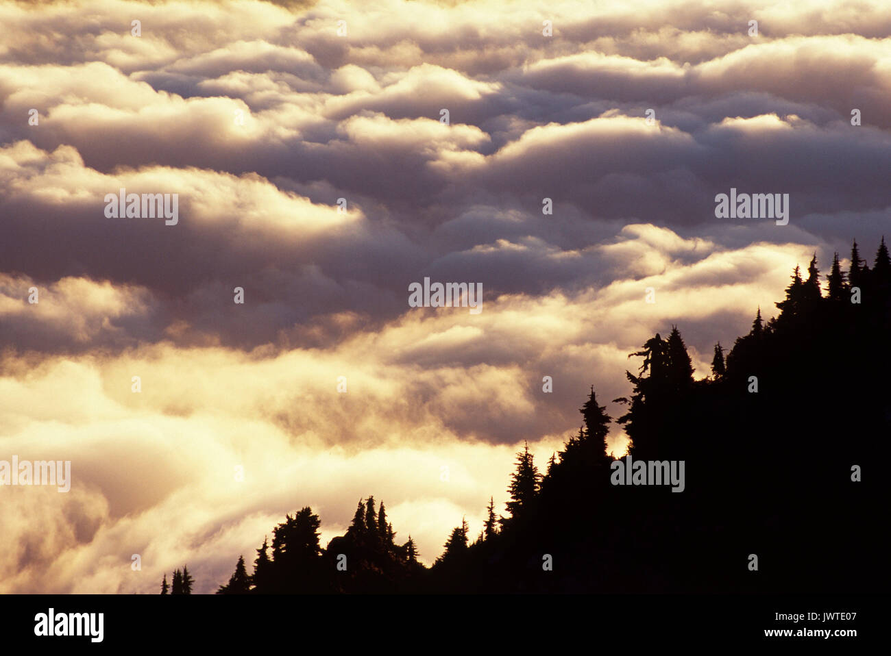 Ansicht mit Wolken von Mt, Mt Pilchuck Pilchuck State Park, Washington Stockfoto