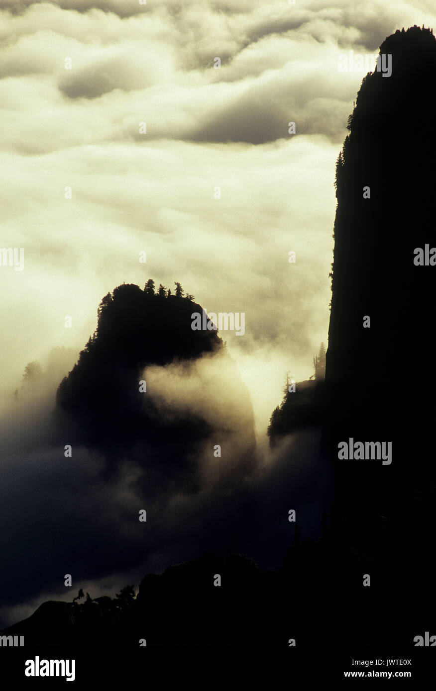 Ansicht mit Wolken von Mt, Mt Pilchuck Pilchuck State Park, Washington Stockfoto