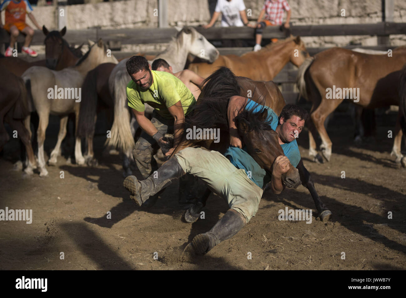 Marin, Pontevedra, Spanien. 13 Aug, 2017. Loitadores Kampf mit einem wilden Pferd während der Rapa das Bestas traditionelle Veranstaltung in der Region von Marin, nordwestliches Spanien, am 13. August 2017. Wilde Pferde aus nahe gelegenen Berge abgerundet und zusammengepfercht in einem Outdoor pen Die mähne der Pferde zu schneiden, während der 400 Jahre alten Pferde Festival namens Rapa das Bestas (Scherung der Tiere) feierte in verschiedenen Dörfern von Galicien in Spanien. In diesem Jahr wird der Concello von Marin feiert zwölften Ausgabe, Abrufen der Tradition. Quelle: Manuel Balles/ZUMA Draht/Alamy leben Nachrichten Stockfoto