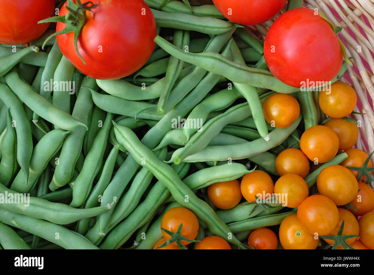 Frische organische sungold Tomaten, Early Girl Tomaten, und Blue Lake pole Beans, von einem Haus Garten im Zentrum von Oregon. Stockfoto