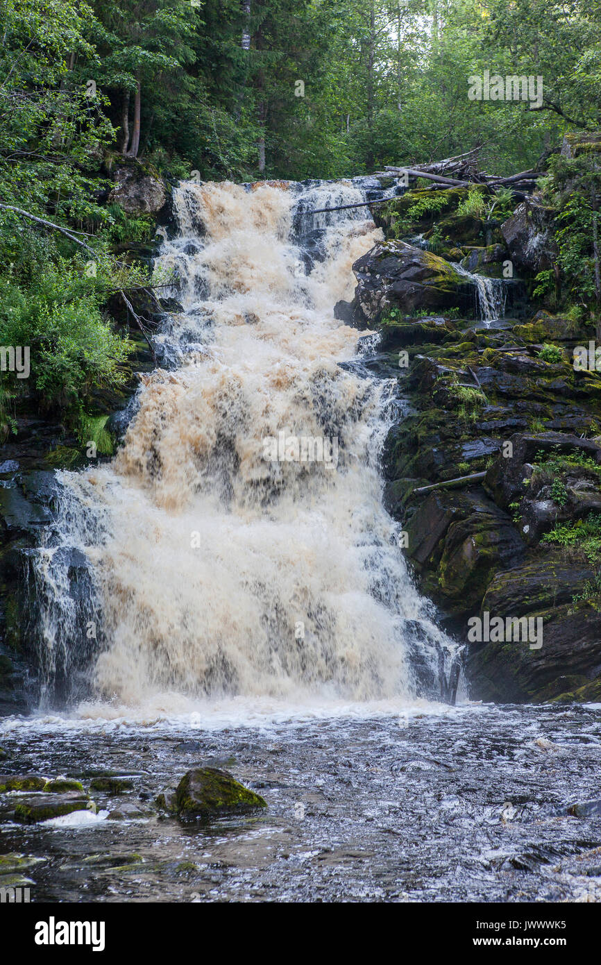 Wasserfall im tiefgrünen Wald Stockfoto