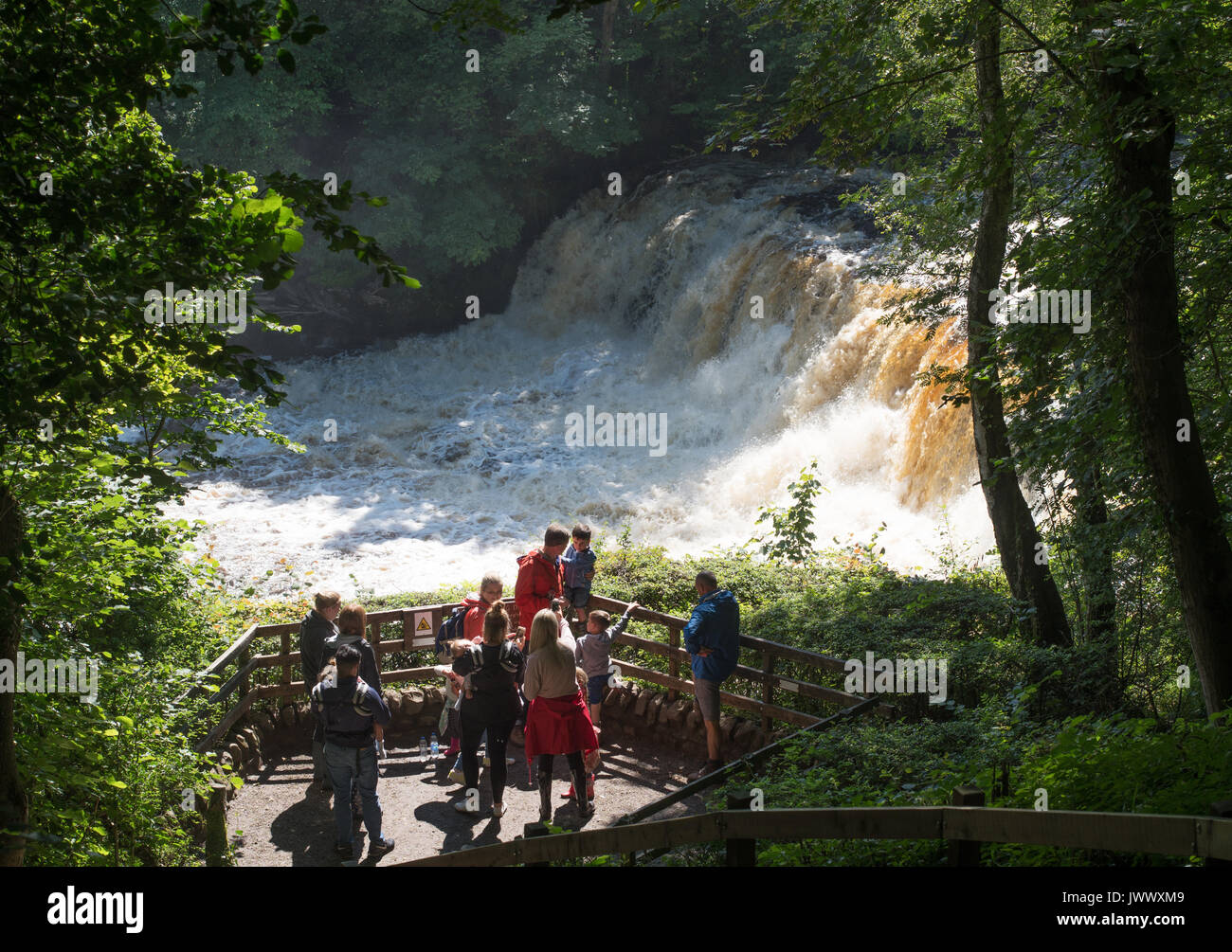 Gruppe von Besuchern Aysgarth fällt, Wensleydale, Yorkshire Dales, England, Großbritannien Stockfoto