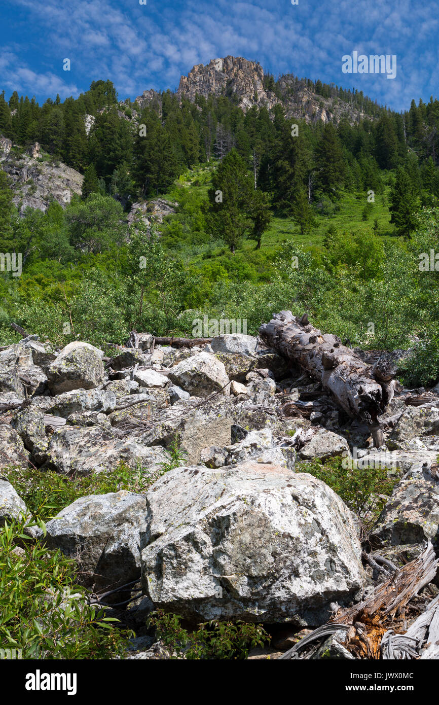 Große Felsbrocken liegen große Felsen hoch über einem Wald oben auf Granit Canyon in den Teton Mountains. Der Grand Teton National Park, Wyoming Stockfoto