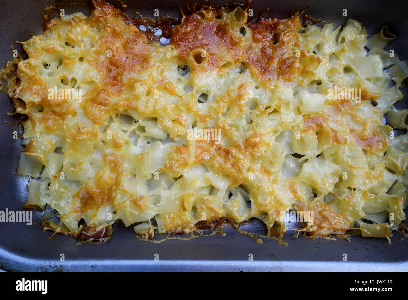 Frisch zubereitete Käse Nudeln backen Sie in einem Backblech Stockfoto