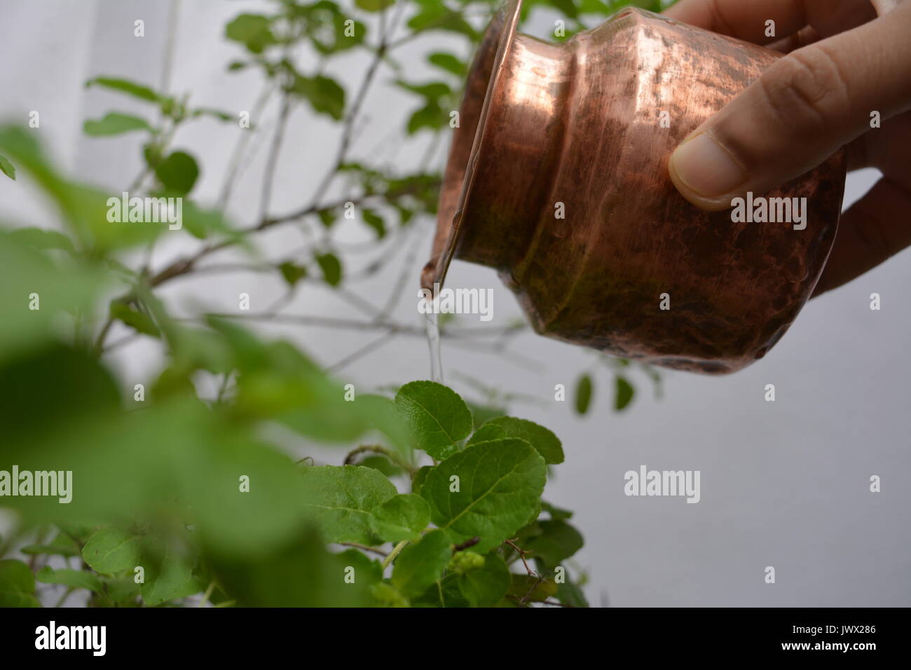 Indianerfest Stockfoto