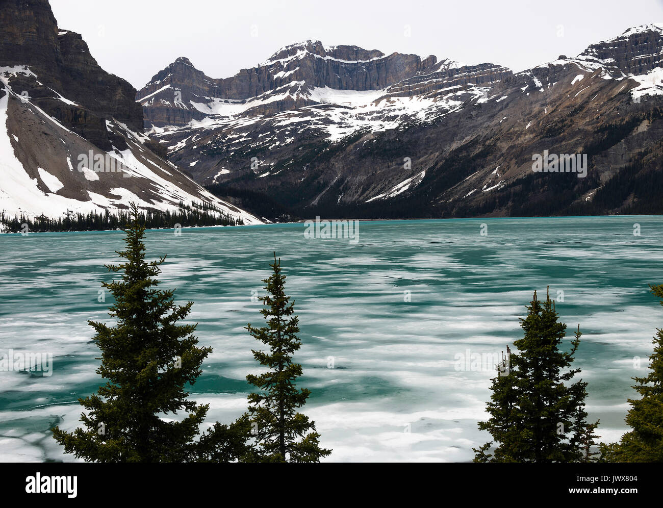 Die schöne Eisige grüne Wasser des Bow Lake in der Nähe von Lake Louise, Banff National Park, Alberta, Kanada Stockfoto