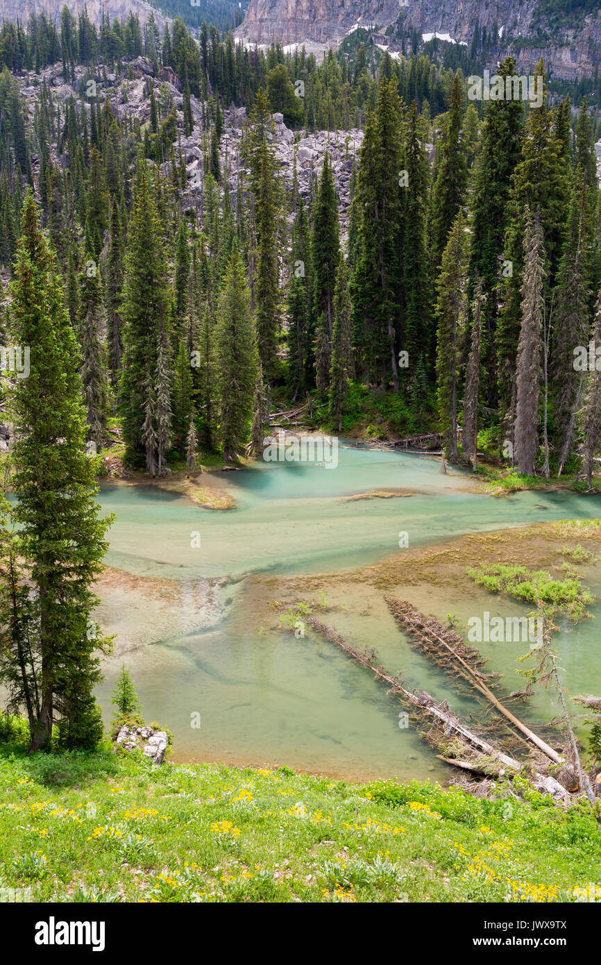 Eine langsame Abschnitt aus Granit Creek erstellen türkisfarbenen Pools unter rocky mountain Klippen in Granit Canyon der Teton Mountains. Grand Teton National Pa Stockfoto