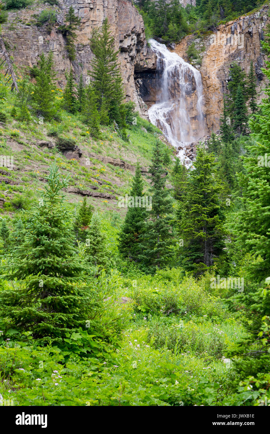 Ein Saisonaler Wasserfall über Felsen aus Granit Canyon der Teton Mountains ausgießen. Der Grand Teton National Park, Wyoming Stockfoto