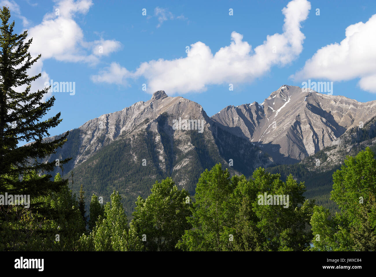 Rocky Mountain Range im Frühsommer in der nähe von Canmore mit Laub- und Nadelholz Kiefernwald, Banff National Park, Alberta, Kanada Stockfoto