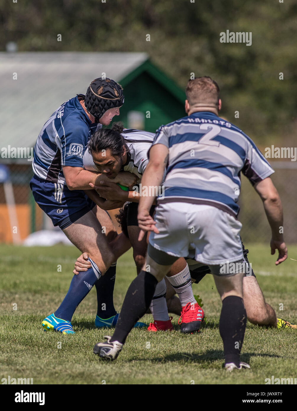 Mt. Shasta vs Modesto Huren an der Rugby Sevens Turnier in Mount Shasta, Kalifornien. Stockfoto