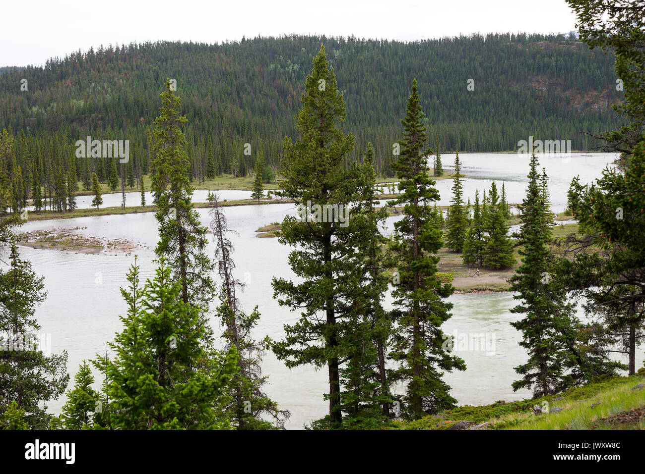 Die schöne Athabasca River aus dem Gelände der Tekarra Lodge Resort in der Nähe von Jasper, Alberta, Kanada Stockfoto