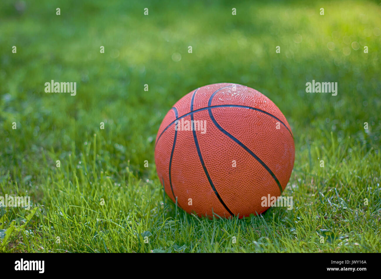 Ein Basketball auf Gras. Eine Nahaufnahme Stockfoto