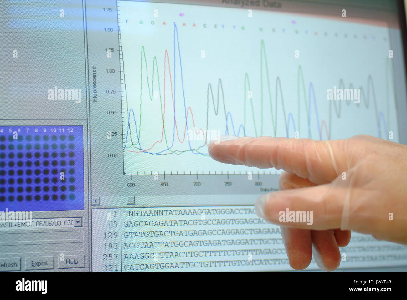 Labor-Assistentin analysiert der DNA-Sequenz auf dem computer Stockfoto