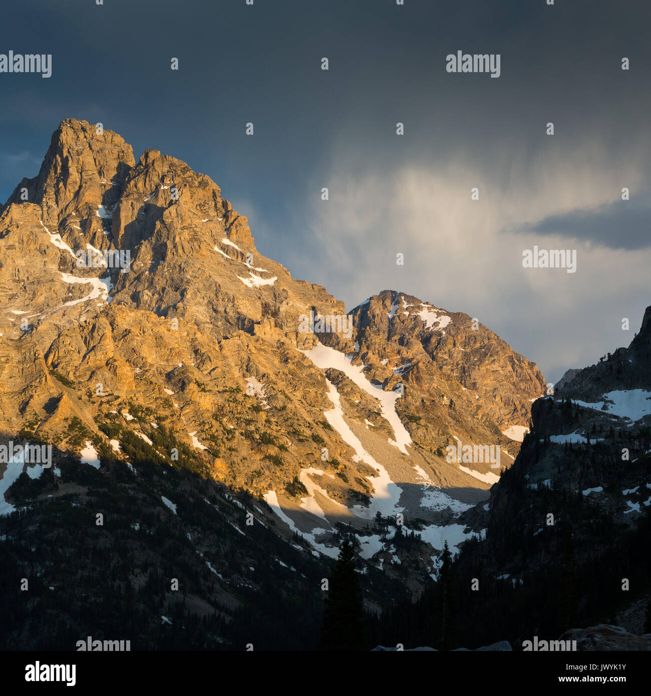 Regenschauer vorbei hinter dem Grand Teton und die Kathedrale Gruppe von Teton Bergen über die North Fork von Cascade Canyon. Grand Teton National Pa Stockfoto