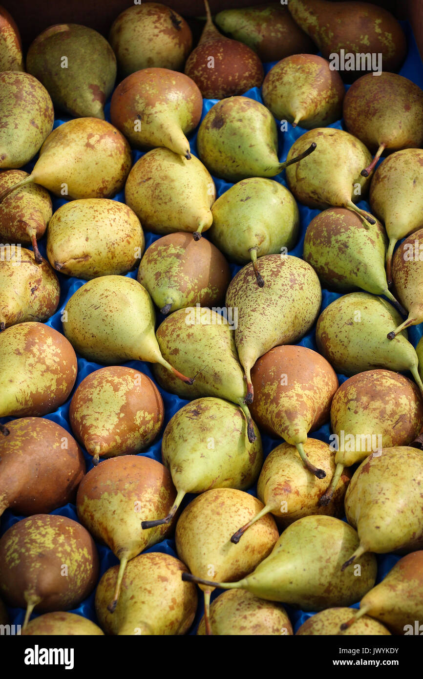 Winter Birnen auf einem Tablett auf einem Bauernmarkt in St. Albans, Hertforshire, UK; Gelb zu Grün, mit Stängel, in natürlichem Licht. Stockfoto