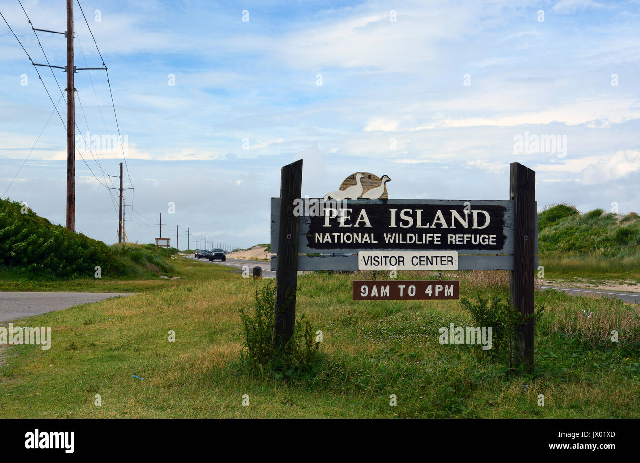 Die pea Island Wildlife Refuge wurde 1938 gegründet und bietet ein geschützter Lebensraum für einheimische Tiere auf den Outer Banks von North Carolina. Stockfoto