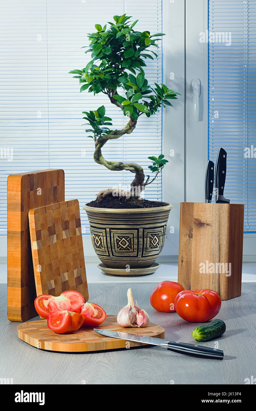 Ein Bonsai Ficus in der Nähe eines Fensters über Jalousien, Tomaten, Knoblauch, eine Gurke, Messer und Schneidebretter Stockfoto