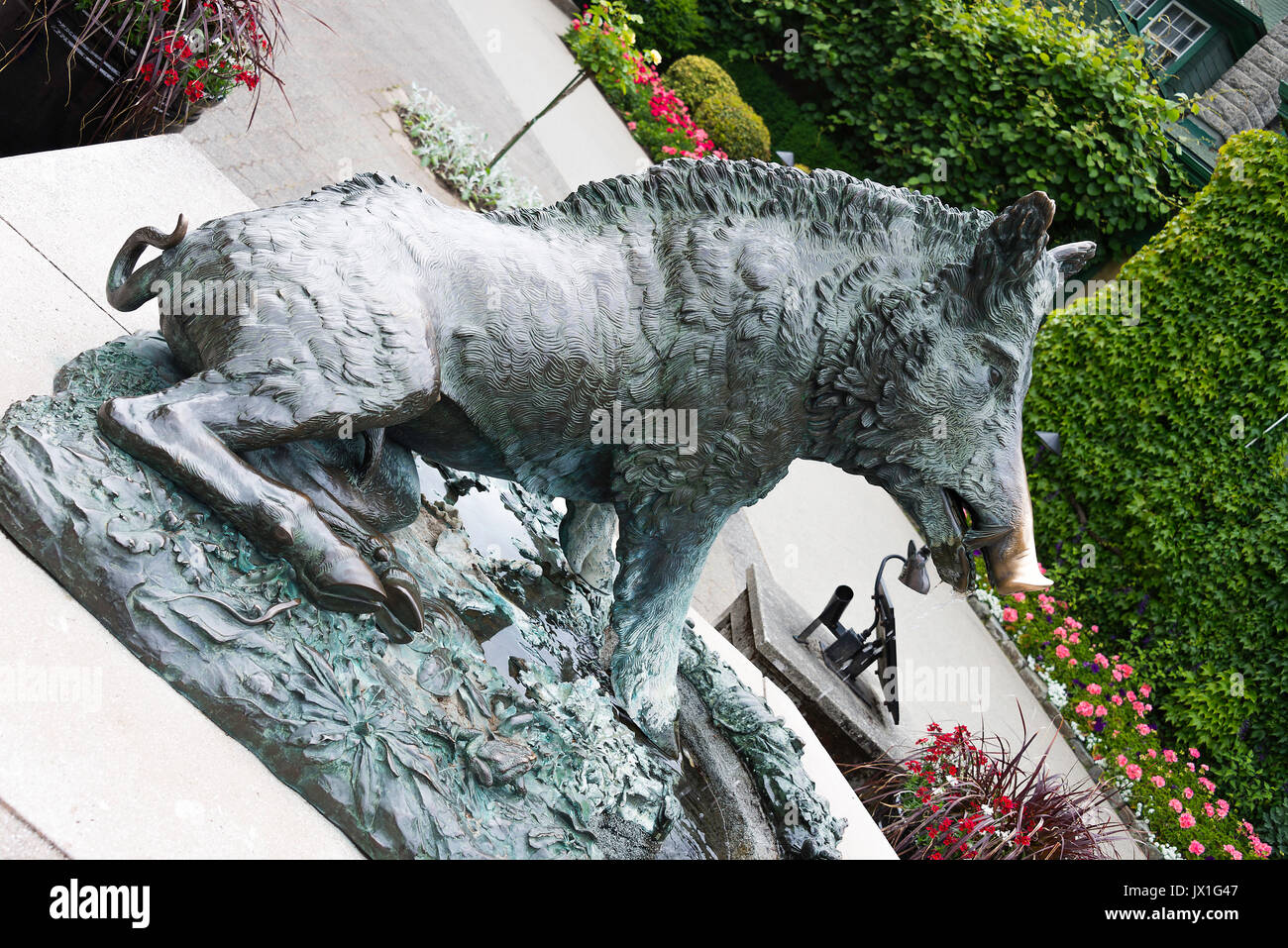 Ein schönes Wildschwein Bronze Skulptur auf der Butchart Gardens Victoria Vancouver Island British Columbia Kanada Stockfoto