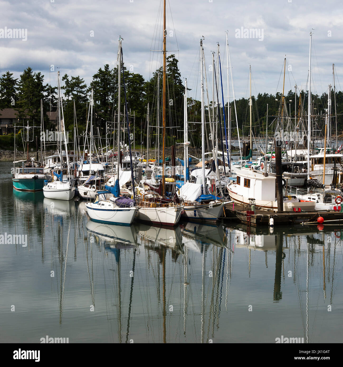 Spiegel wie Bilder von Yachten und Boote angedockt in einer Marina an Tsehum Harbour in der Nähe von Victoria auf Vancouver Island, British Columbia Kanada Stockfoto
