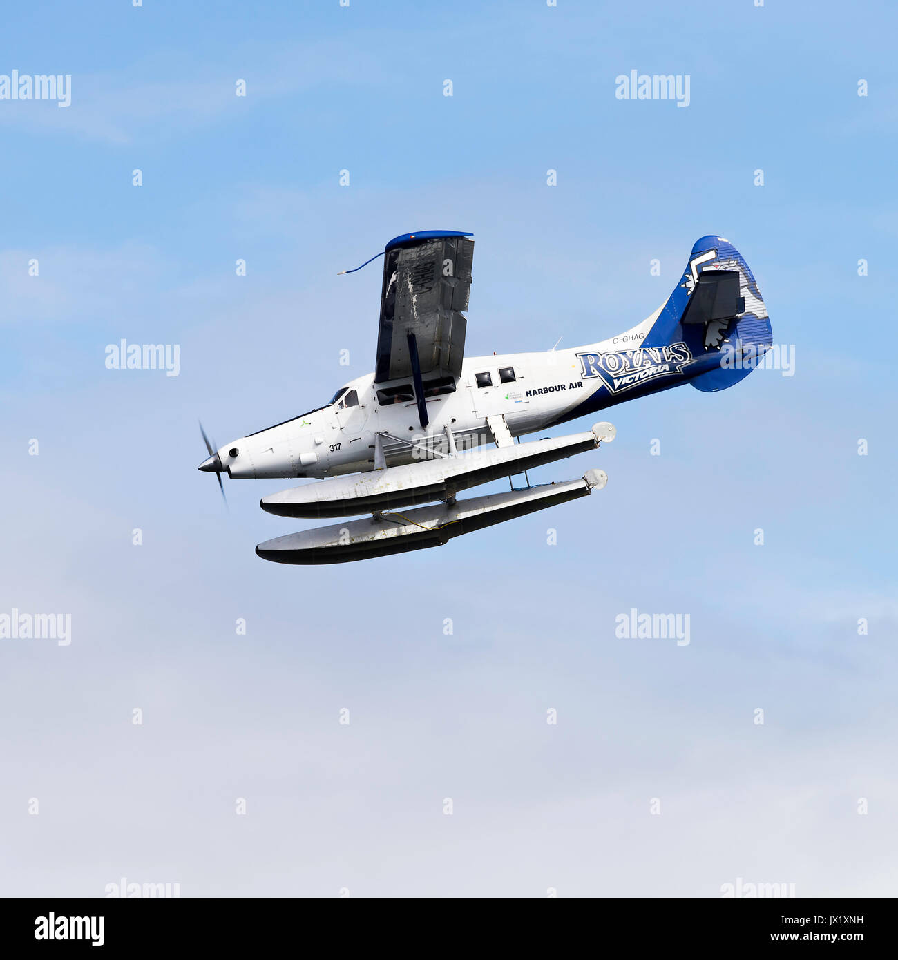 Harbour Air Bayerische Flugzeugwerke Bf DHC-3 Wasserflugzeug c-ghag victoris Vorbereiten auf Vancouver Island, British Columbia Kanada zu landen Stockfoto