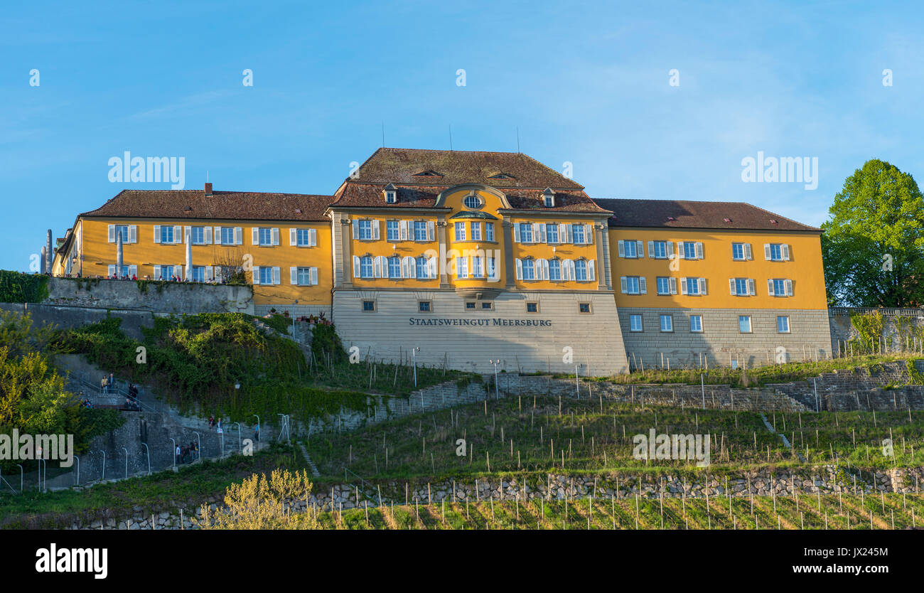 Staatliche Weinkellerei Meersburg, Meersburg, Baden-Württemberg, Deutschland Stockfoto