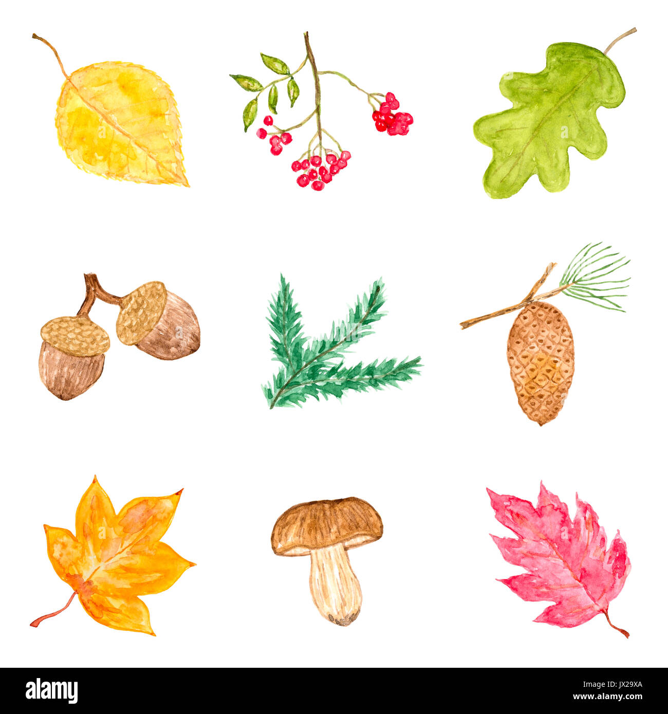 Aquarell Sammlung von niedlichen Herbst Elemente, isoliert auf weißem Hintergrund Stockfoto