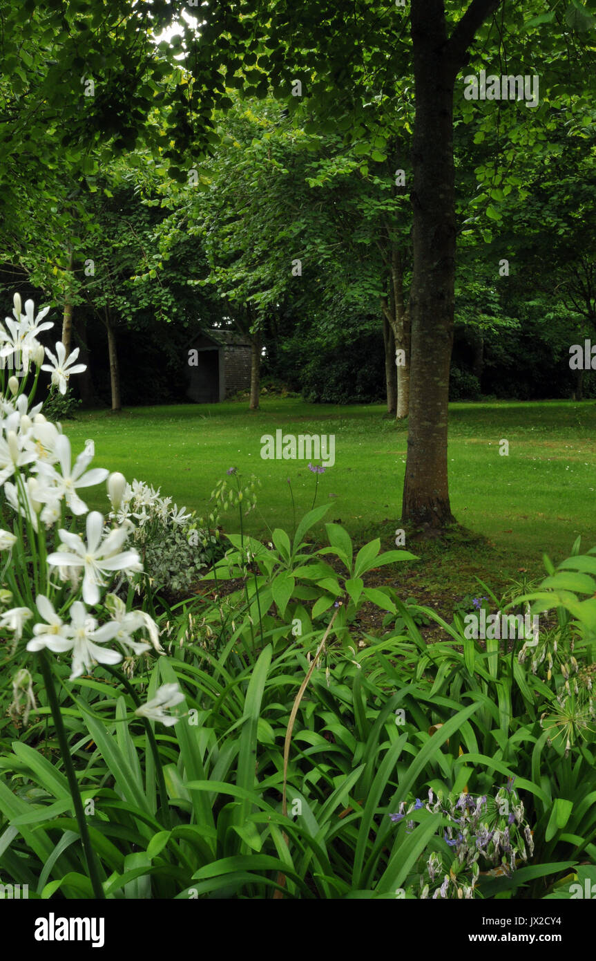 Die Gärten von Prideaux Place padstow Großbritannien im Sommer mit grünen Gärten und Brunnen und Statuen formal Gartenarbeit Gründen gehalten weel durch Gärtner Stockfoto