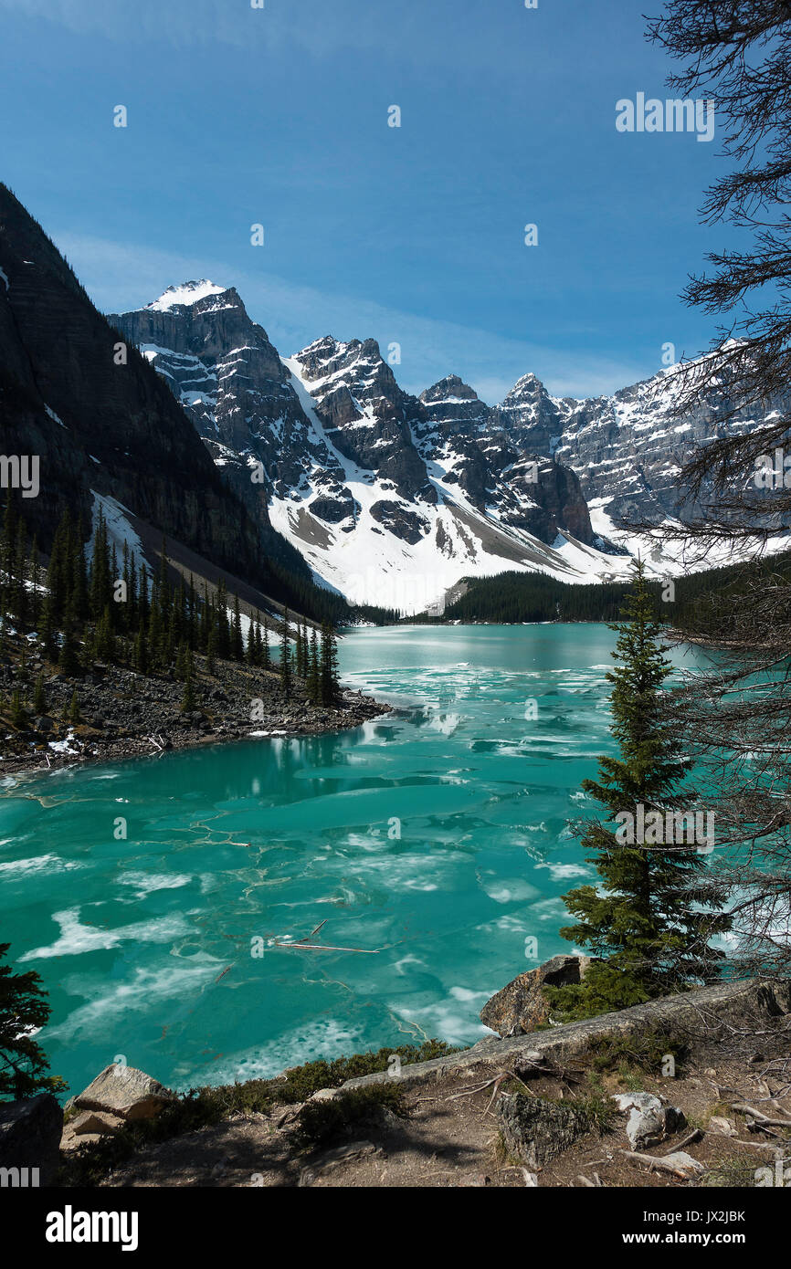 Die beeindruckende grüne Wasser der Moraine Lake im Banff Nationalpark der Kanadischen Rockies Alberta Kanada Stockfoto