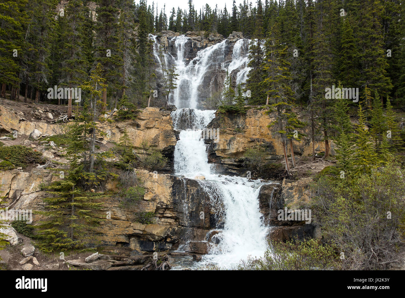 Die schöne Tangle Creek Falls auf dem Icefields Parkway in der Nähe von Jasper, Alberta, Kanada Stockfoto