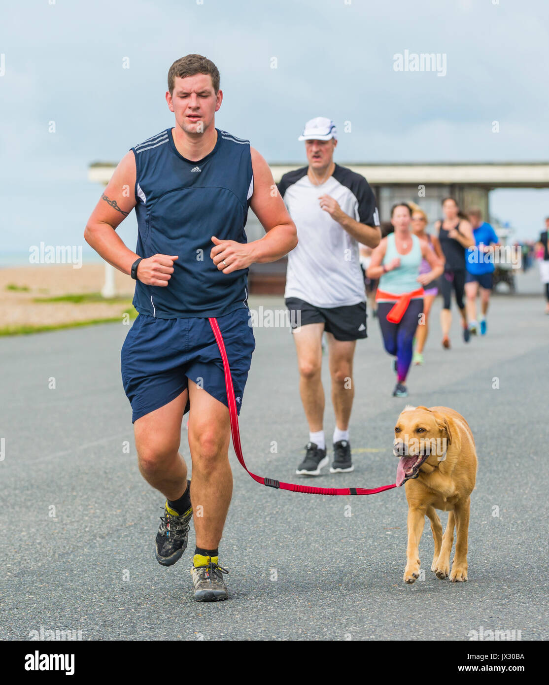 Läufer mit Hund auf den wöchentlichen Vitalität Parkrun Ereignis in Worthing, West Sussex, England, UK. Stockfoto
