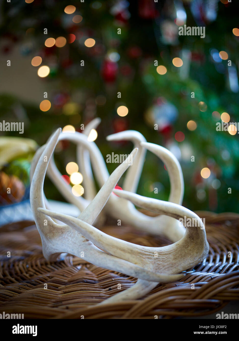 Geweih Mittelstück in Weihnachten einstellen Stockfoto