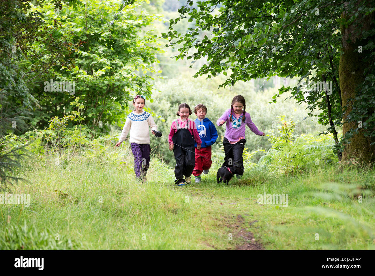 Familie Wandern im Wald Stockfoto