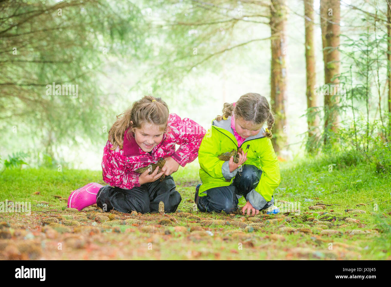 Familie Wandern im Wald Stockfoto