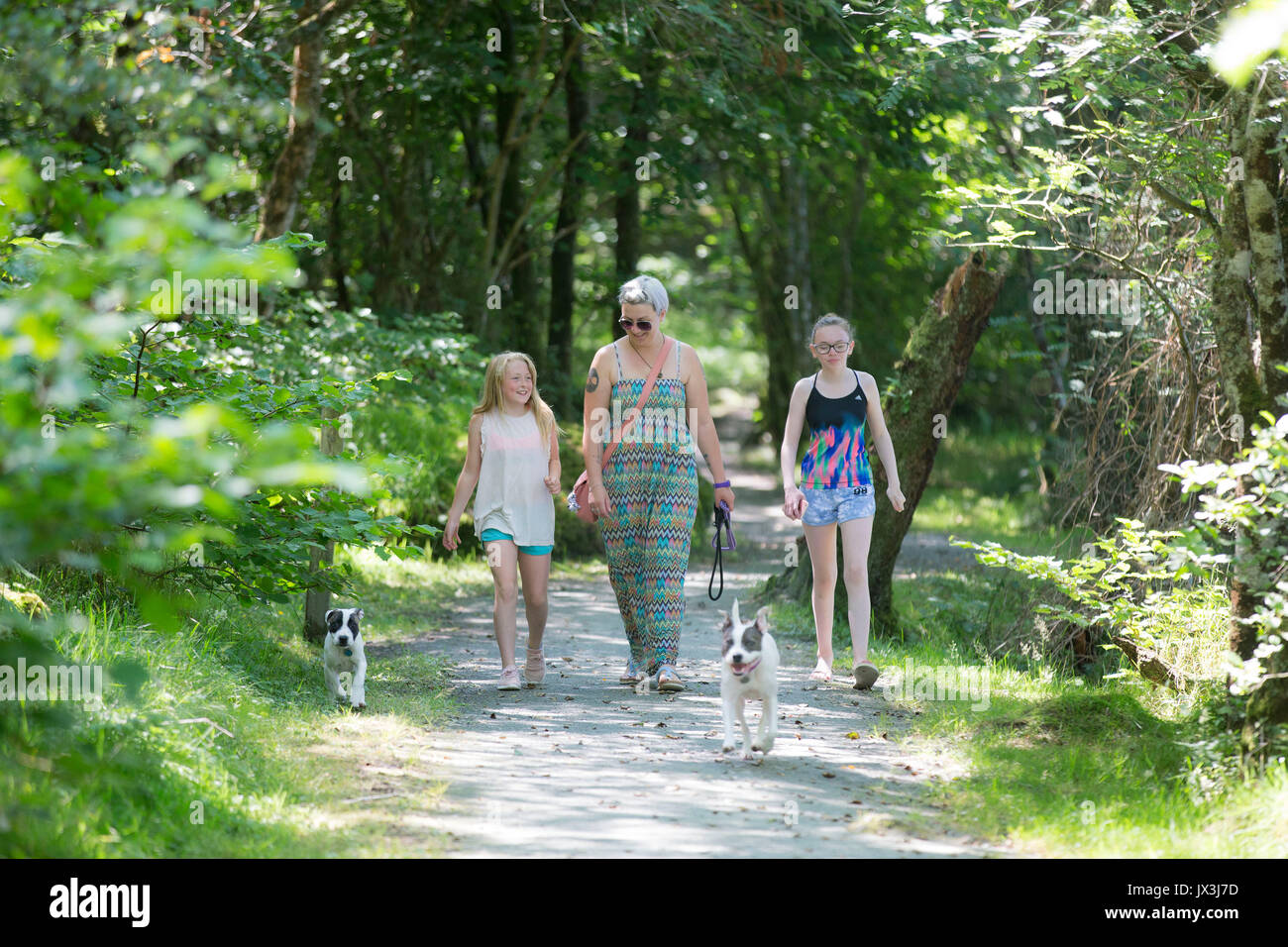 Familie Wandern im Wald Stockfoto