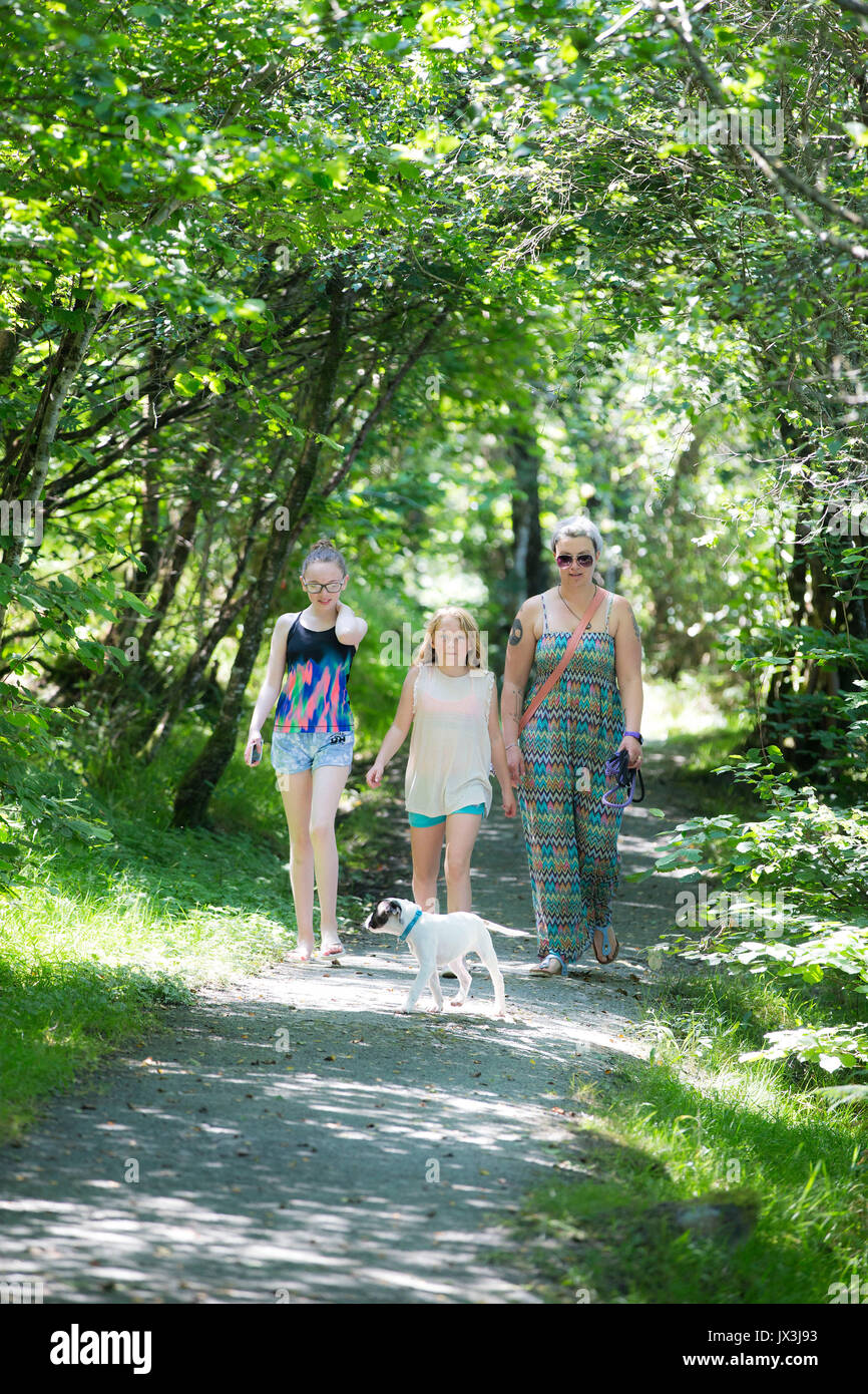 Familie Wandern im Wald Stockfoto