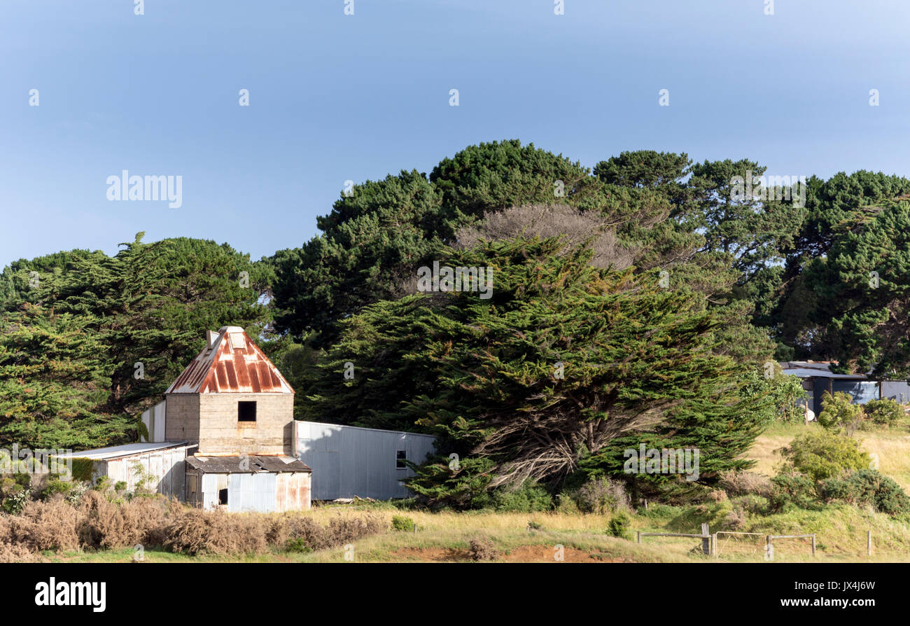 Alte Getreidespeicher in Ackerland. Phillip Island, Victoria, Australien Stockfoto