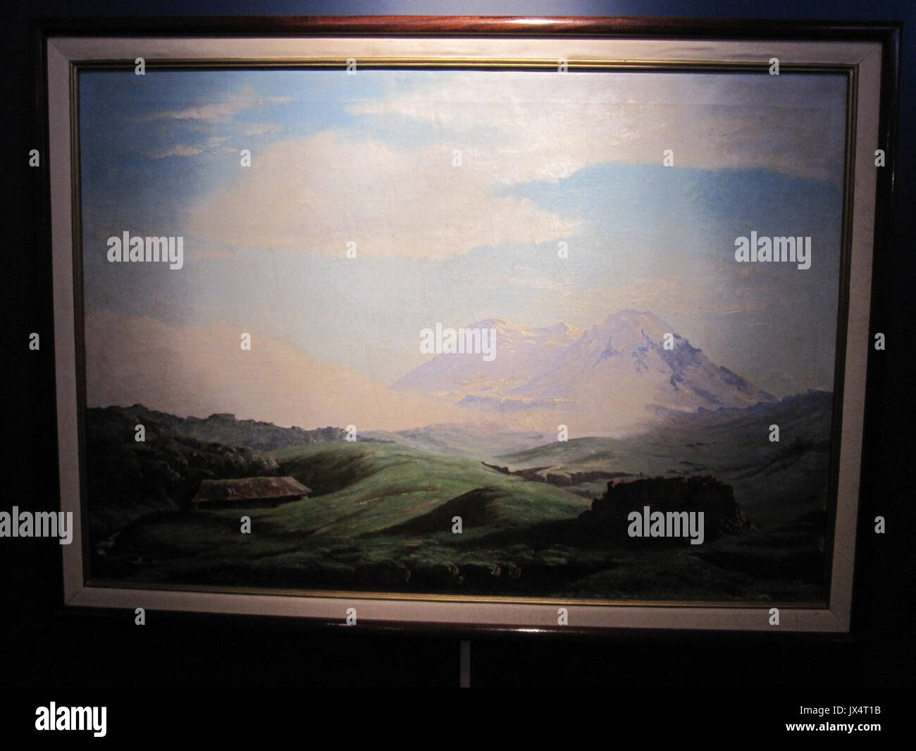 Luis ein Martinez Paramo del Antisana Stockfoto