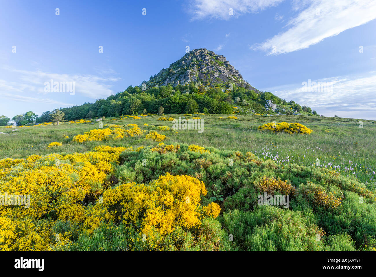 Frankreich, Ardèche, Parc naturel Regional des Monts d'Ardèche (regionalen Naturparks der Berge der Ardèche), Mont Gerbier de Jonc (Höhe von 1,55 Stockfoto